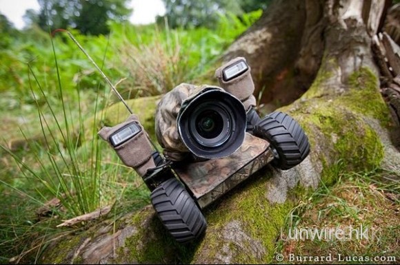 搖控車+Canon 400D 拍盡非洲野生生態