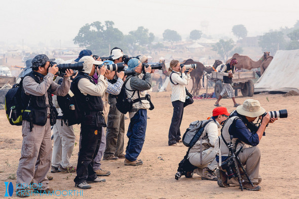 攝影師比駱駝還多的印度駱駝市集