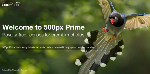 500px 推出 Prime 授權服務，攝影師可分帳 7 成