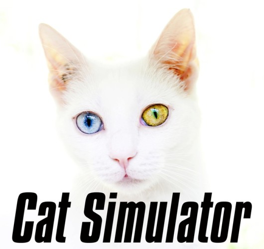 模擬貓喵遊戲  登陸集資網站