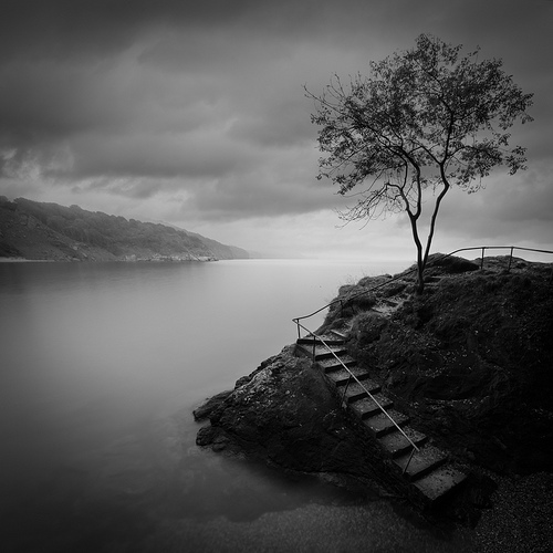 10152949856_bd3dc8b8bb