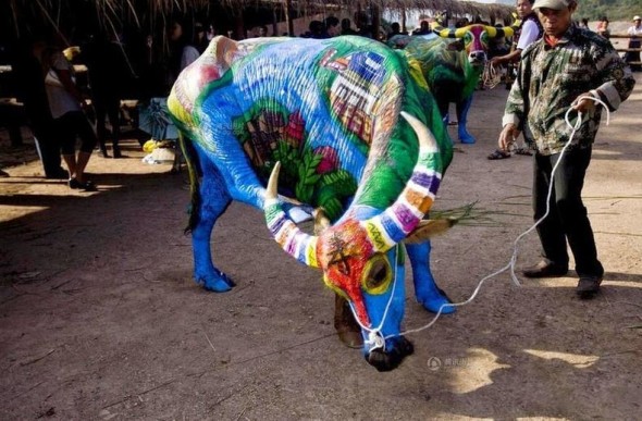 buffalo-bodypainting-2[2]