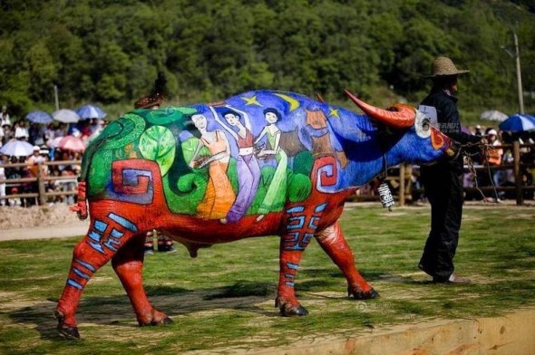 buffalo-bodypainting-4[6]