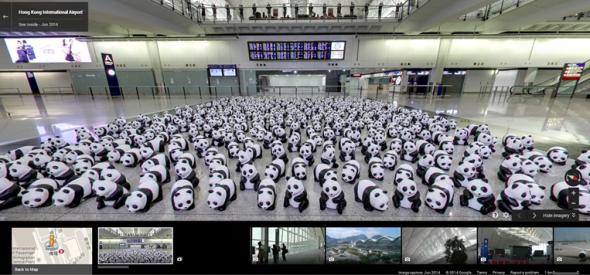Google Maps 全程追蹤 1,600 隻熊貓 !