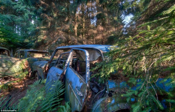 article-2256470-16BBEB4C000005DC-150_964x616