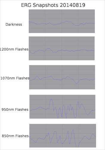 charts