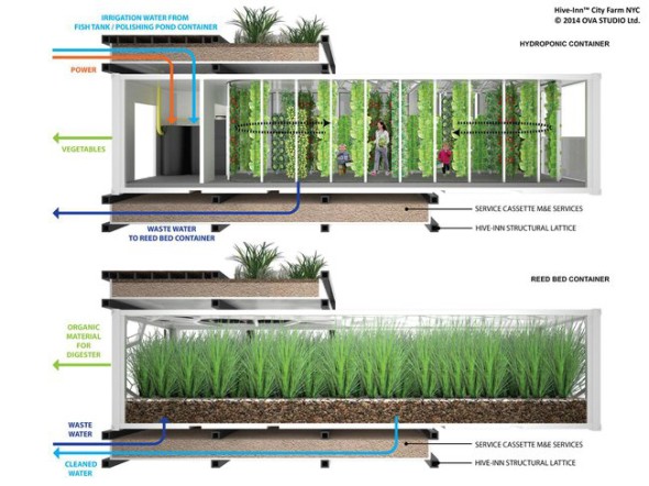 hive-inn-grow-container.jpg.650x0_q85_crop-smart