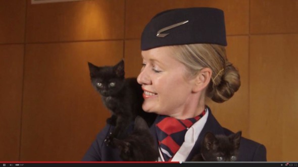 貓狗愛好者福音！英航將在機上提供寵物影片頻道