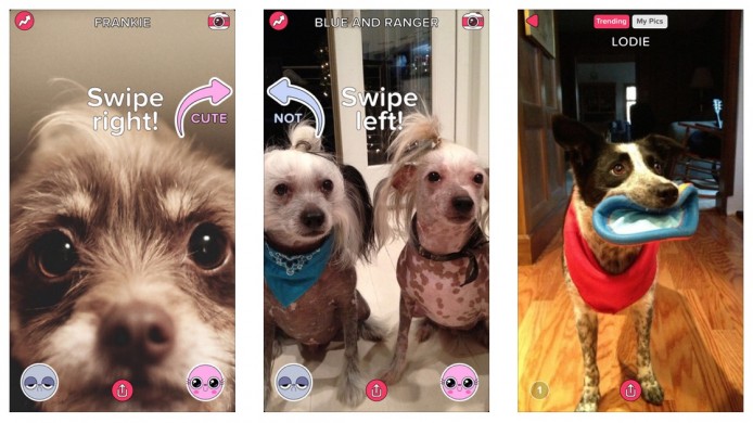 BuzzFeed 推出寵物評分軟件 Cute or Not