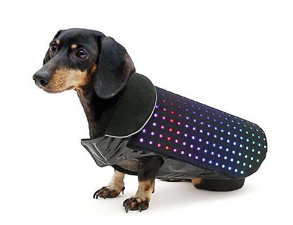 狗仔衫內置 LED  手機 App 操控隨時變色