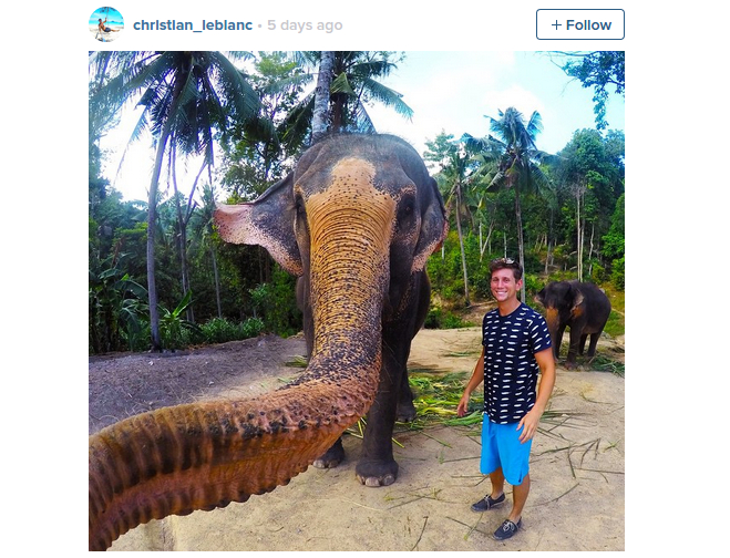 大象搶走遊客 GoPro 自拍 Elphie