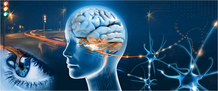 eye-brain-photo-neuropsych-workshop1