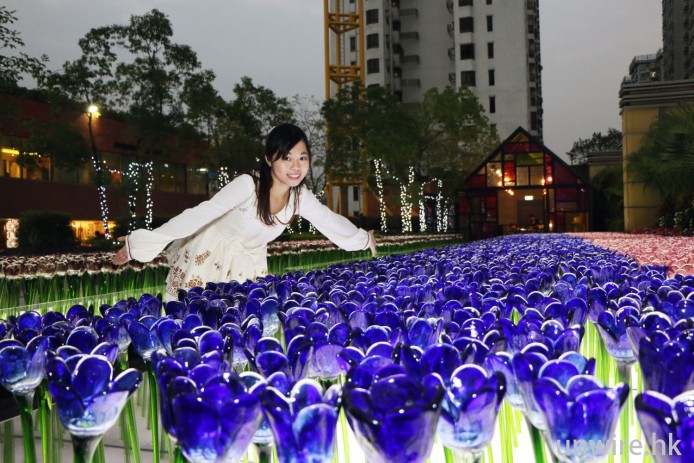 情侶必到打卡點！新城市廣場超浪漫聖誕玻璃花園 5大影相位