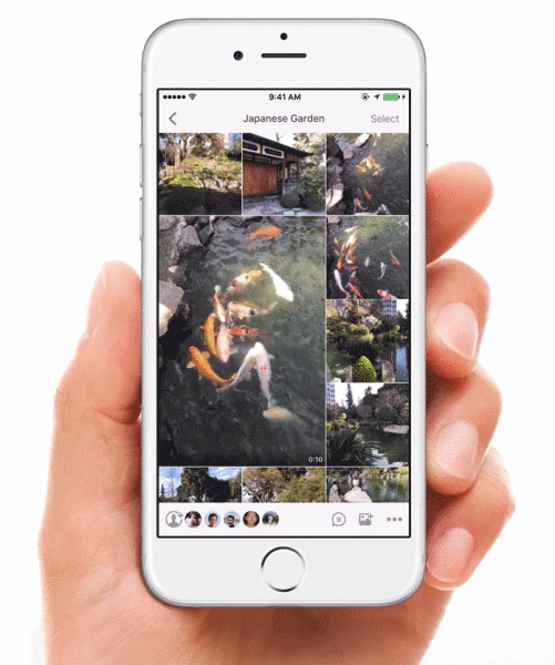 MomentsVideo-501x600