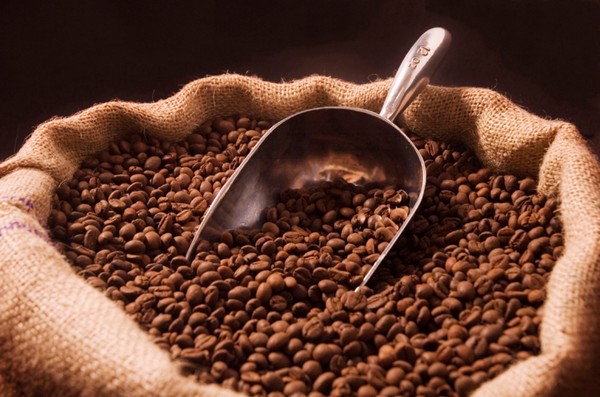 全球氣候持續惡化！研究顯示本世紀末咖啡豆或會完全滅絕