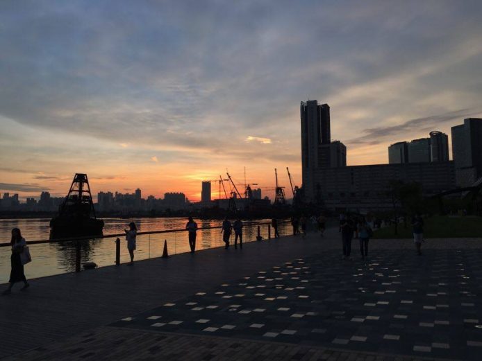 13989539_10153828423033595_852150243_n