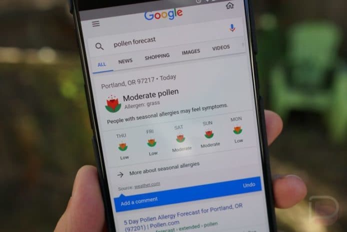 Google 搜尋加入花粉預報資訊
