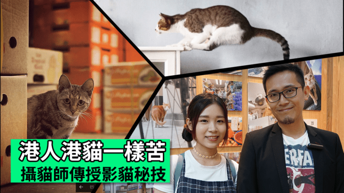 【unwire TV】港人港貓一樣苦 攝貓師傳授影貓秘技