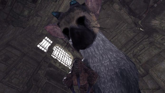 PS4 The Last Guardian 推 VR 免費試玩版　感受騎上巨鷹 Trico