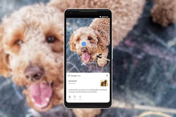 Google Lens 推出一年   人工智能已可辨認 10 億物件