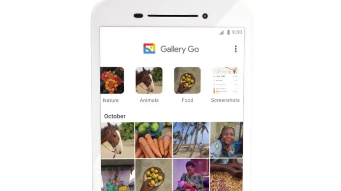 Google Gallery GO 發表   體積僅 10MB 毋須連線使用