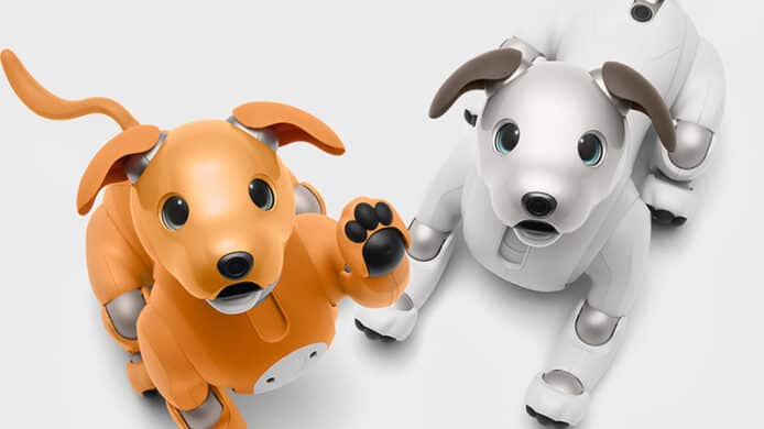 Aibo 機械狗加入門口等候功能　學習歸家時間自動守候